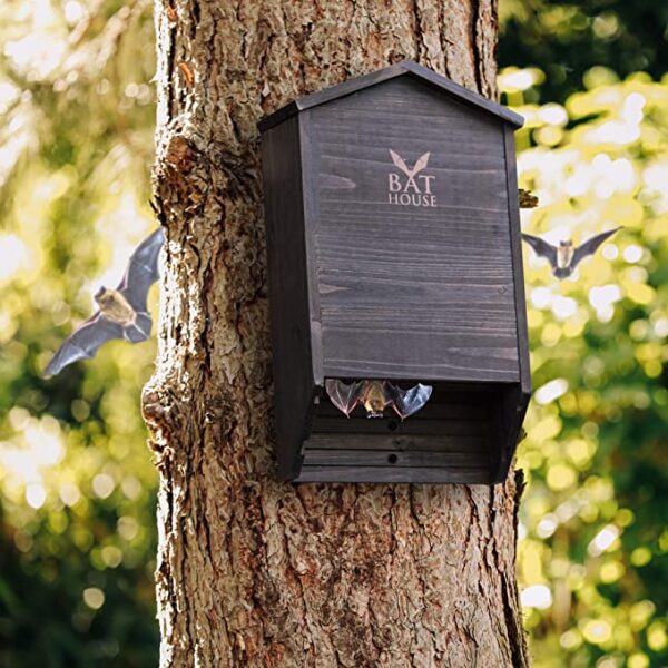 The Ultimate Wooden Bat House for Outdoors - A Large Double Chamber Box Perfectly Designed to Attract Bats - Durable and Easy to Hang - Image 3