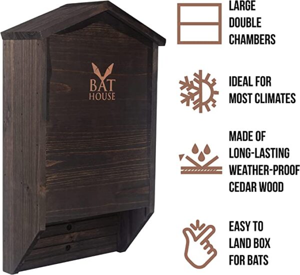 The Ultimate Wooden Bat House for Outdoors - A Large Double Chamber Box Perfectly Designed to Attract Bats - Durable and Easy to Hang - Image 5