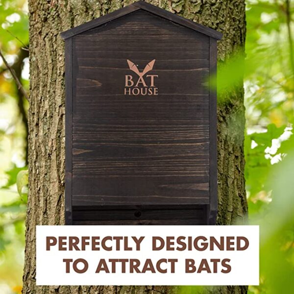 The Ultimate Wooden Bat House for Outdoors - A Large Double Chamber Box Perfectly Designed to Attract Bats - Durable and Easy to Hang - Image 7